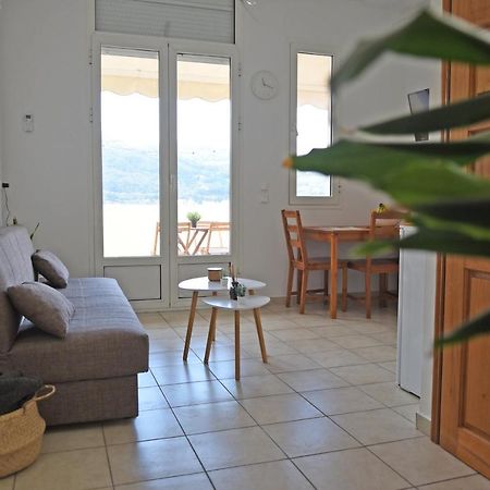 Apartament Plateia Sea View Loft Samos Town Zewnętrze zdjęcie
